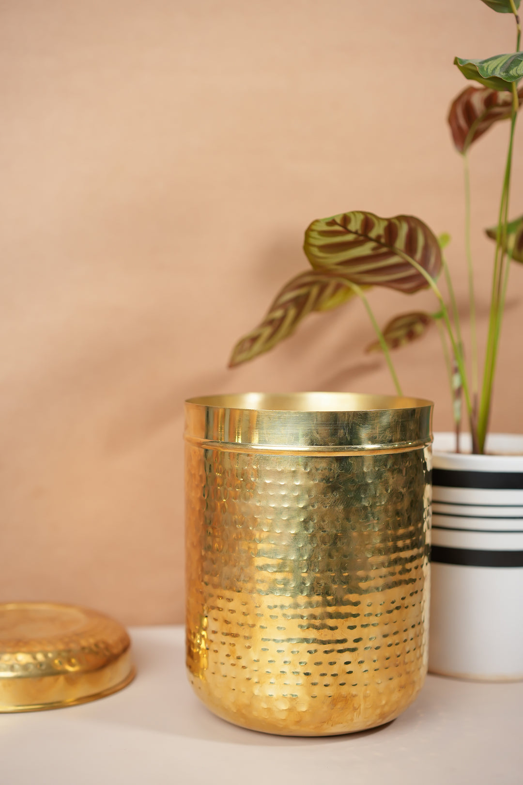 Pital Kitchen Containers for kitchen