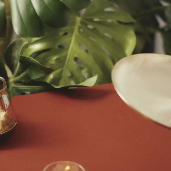Kansawala kansa dinner plate matte product video